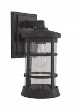 Craftmade ZA2314-BZ-C - Resilience Large Outdoor Lantern in Bronze, Clear Lens