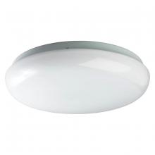 Forte 20018-02-03 - Mushroom Fluorescent