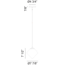 C81751AGOP_C.jpg