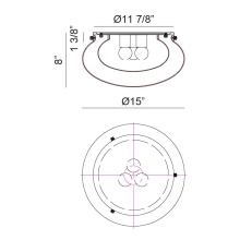M15703AG_B.jpg