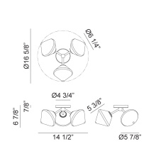 X81743BKCL_B.jpg