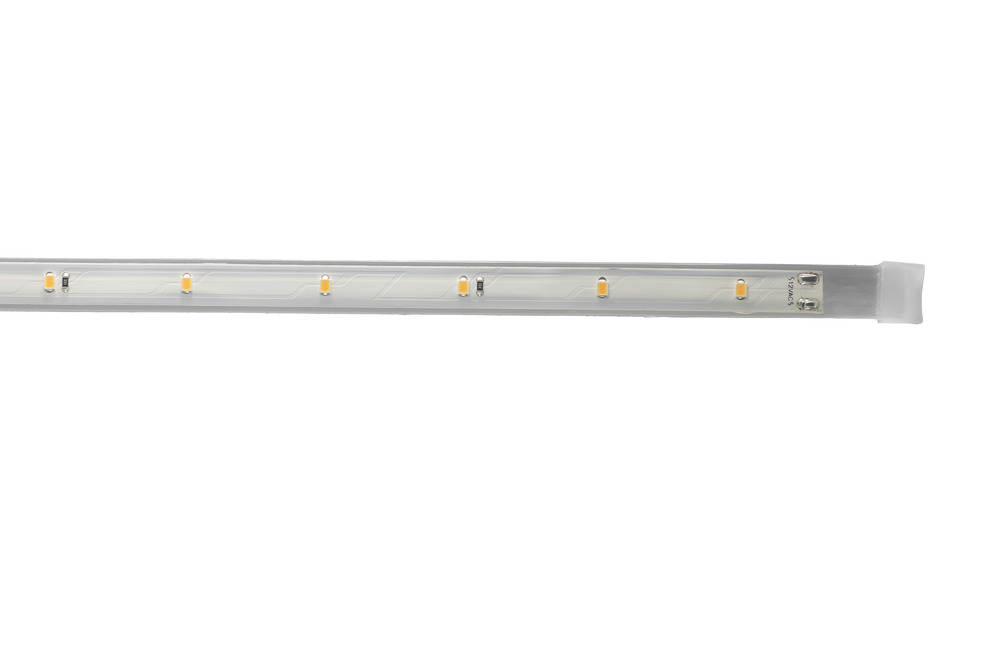 12V STANDARD GRADE IP68