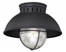 Vaxcel International T0142 - Harwich 10-in Outdoor Flush Mount Ceiling Light Textured Black