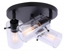 Canarm ICW759A03BK - JONI, ICW759A03BK, MBK Color, 3 Lt Ceiling/Wall, 60W Type A, Easy Connect Included