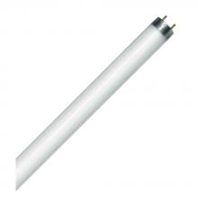 Standard Products 10509 - Fluorescent LINEAR T8 30IN Med Bipin Base 18W 4100K Preheat Start (PH) Standard