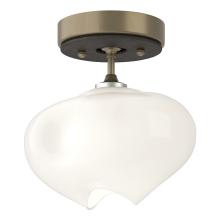 Hubbardton Forge - Canada 121372-SKT-84-14-FD0710 - Ume 1-Light Semi-Flush