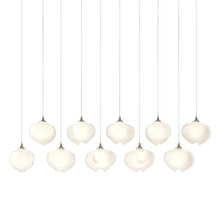 Hubbardton Forge - Canada 131203-SKT-LONG-84-FD0710 - Ume 10-Light Pendant