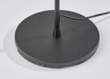 5169-01_3_lg.jpg