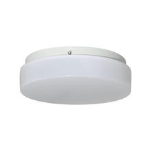 ELK Home TG100134 - FLUSH MOUNT